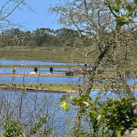 Reetdorf Geltinger Birk Atelierhaus Ufersaum Feriehus